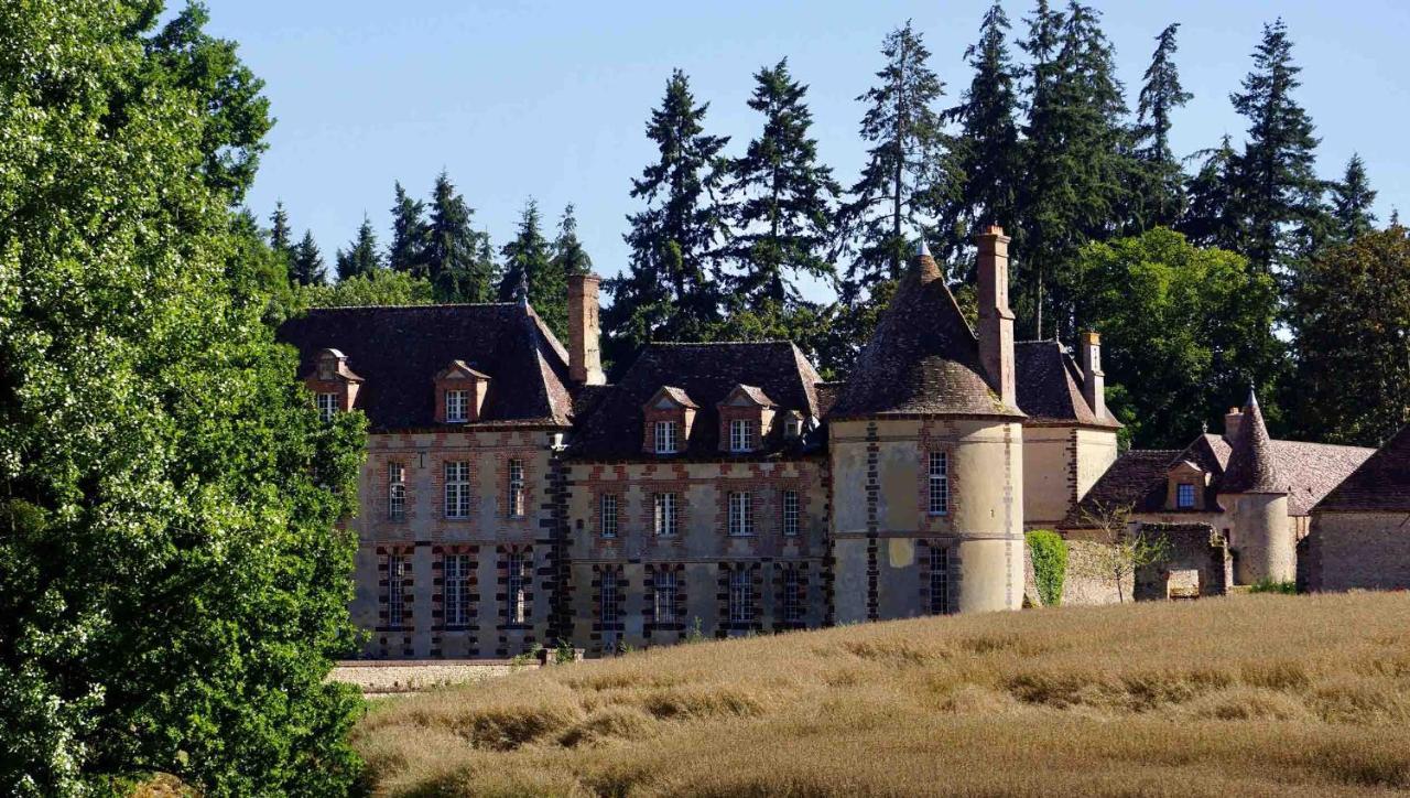 Chateau De La Riviere Pontgouin Kültér fotó