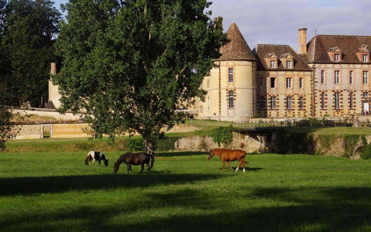 Chateau De La Riviere Pontgouin Kültér fotó